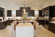 Montverde, Transitional Bi-level Island Kitchen 03      